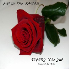 NOBODY (Like You) (Produced By Merlin)
