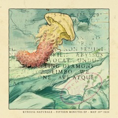 Kuriose Naturale • Releases