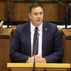 15 April, '21: The DA’s pale male problem
