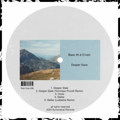 Premiere: Basic 96 & Érratic – Deeper State (Tommaso Pizzelli Remix) [DUBCUTS006]