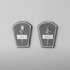 Парнишка & ELLA - Мы умрём(spykkz remix)