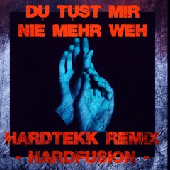 Du Tust Mir Nie Mehr Weh - AnnenMayKantereit (deMusiax Hardtekk Remix - Hardfusion