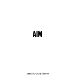 AIM FT SKIIWII