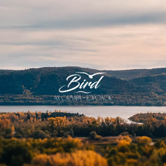 B I R D - Ах Самара городок