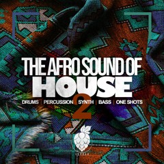 LS055 The Afro Sound Of House Vol. 2