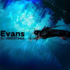 Evans (First Gratitude Remix) / Nell-Space