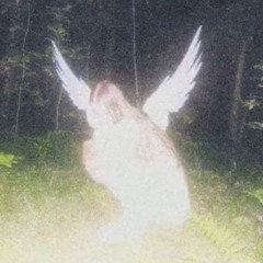 ###FLY AWAY (prod. Cabber)