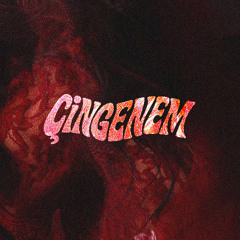 Luminoise & millforlife - Çingenem