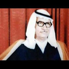 سلمان المنكوب | احمل غيض هالعالم وغضبه