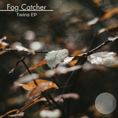 Premiere: Fog Catcher - Twin I (John Darque Remix) [Anodynic Frequencies]