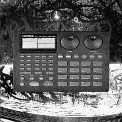 Boss DR-660