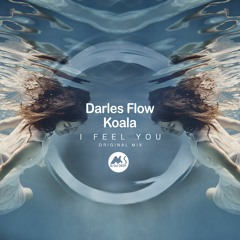 𝐏𝐑𝐄𝐌𝐈𝐄𝐑𝐄: Darles Flow, Koala - I Feel You [M-Sol DEEP]