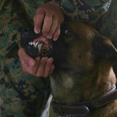 Lil Sknow X Greeley - 2High