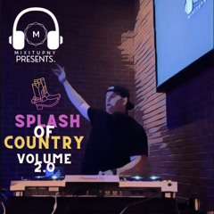 Splash Of Country Vol. 2