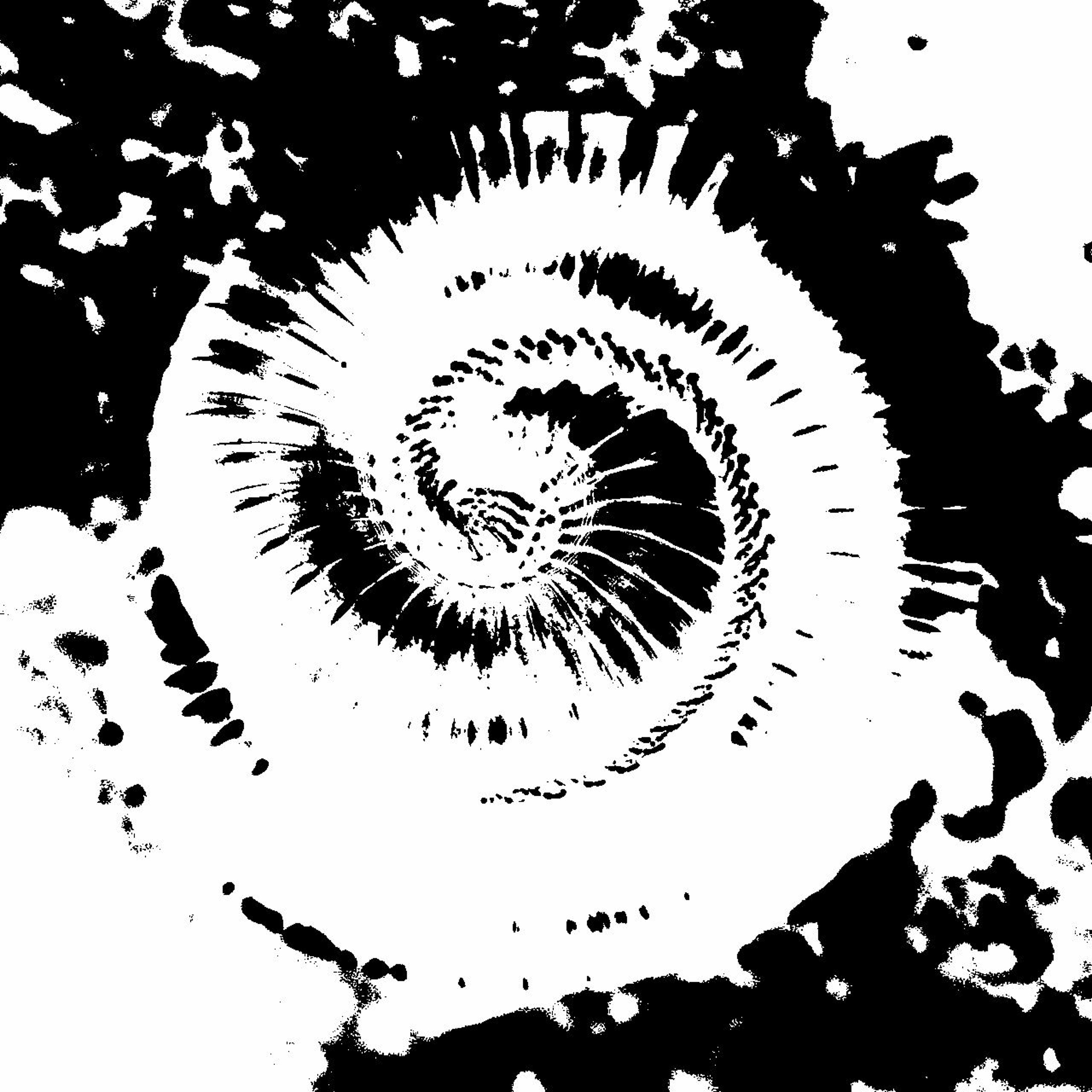 Remixes