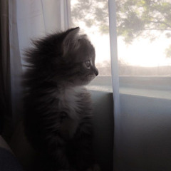 kkamiistar - it was a good day // #😏🍎 #🌟