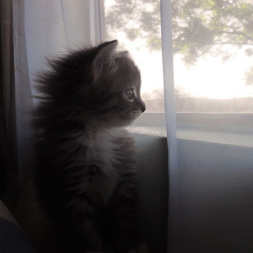 kkamiistar - it was a good day // #๐๐ #๐