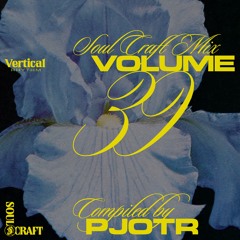 Soul Craft Vol. 39 // PJOTR