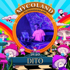 DITO - MycoLand // 29.10