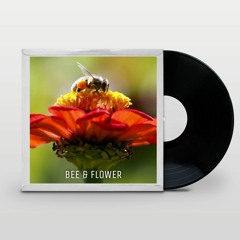 BEE & FLOWER