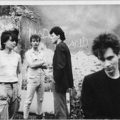 Made in Poland -To tylko kobieta