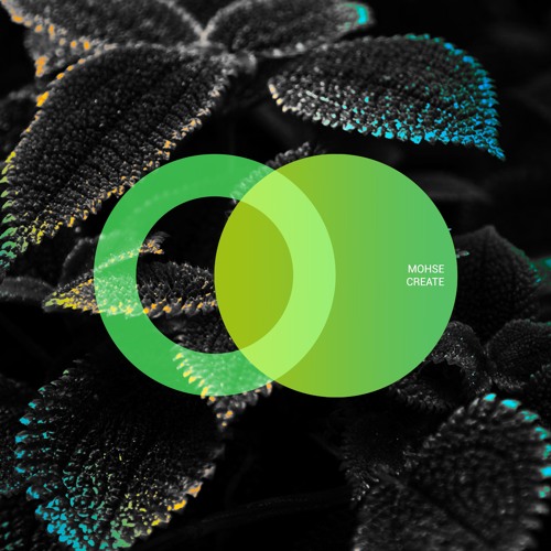 Mohse - Create