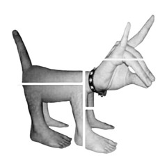 Maripark Yesfest SET