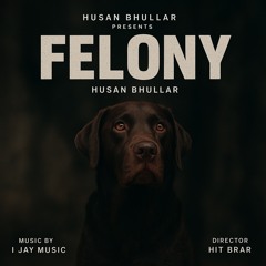 FELONY