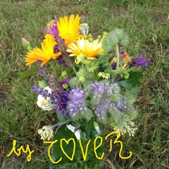 Statt Blumen