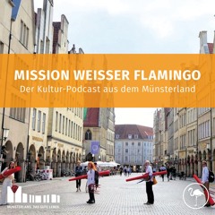 8. Folge: Stadtensemble Münster