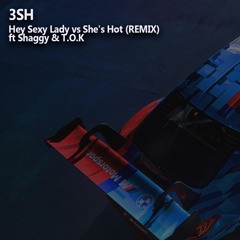 3SH - Hey Sexy Lady Vs She's Hot (REMIX) Ft Shaggy & T.O.K