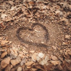 Left Me In The Dirt (Prod. Splashgvng)