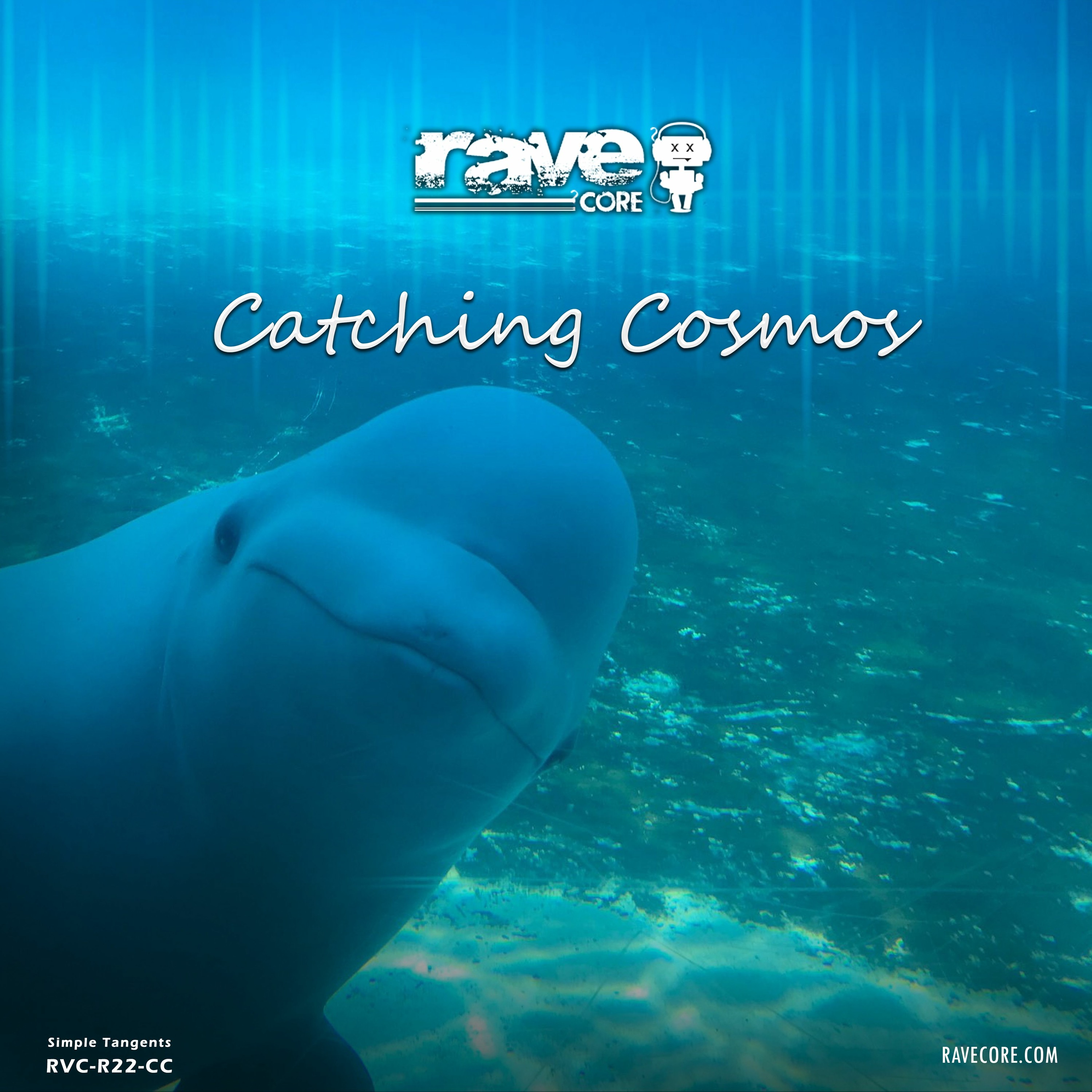 Catching Cosmos episode artwork