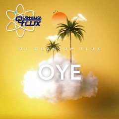 Oye Remix By DJ Quantum Flux
