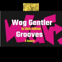 DJ CHRIS SULLIVAN WAG GENTLE FUNKED GROOVES