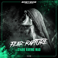 Stark Raving Mad (Extended Mix)