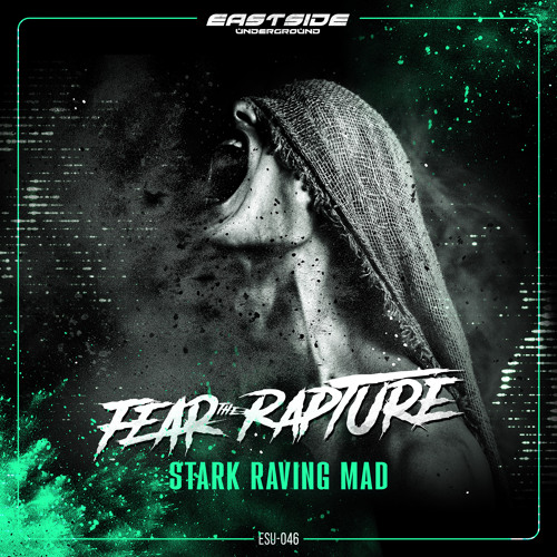 Stark Raving Mad (Extended Mix)