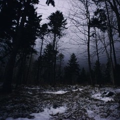 B4 I GO (ninjuhs & buggy)