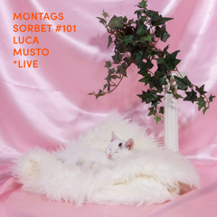#101: Luca Musto *live - Montagssorbet mit Laut & Luise