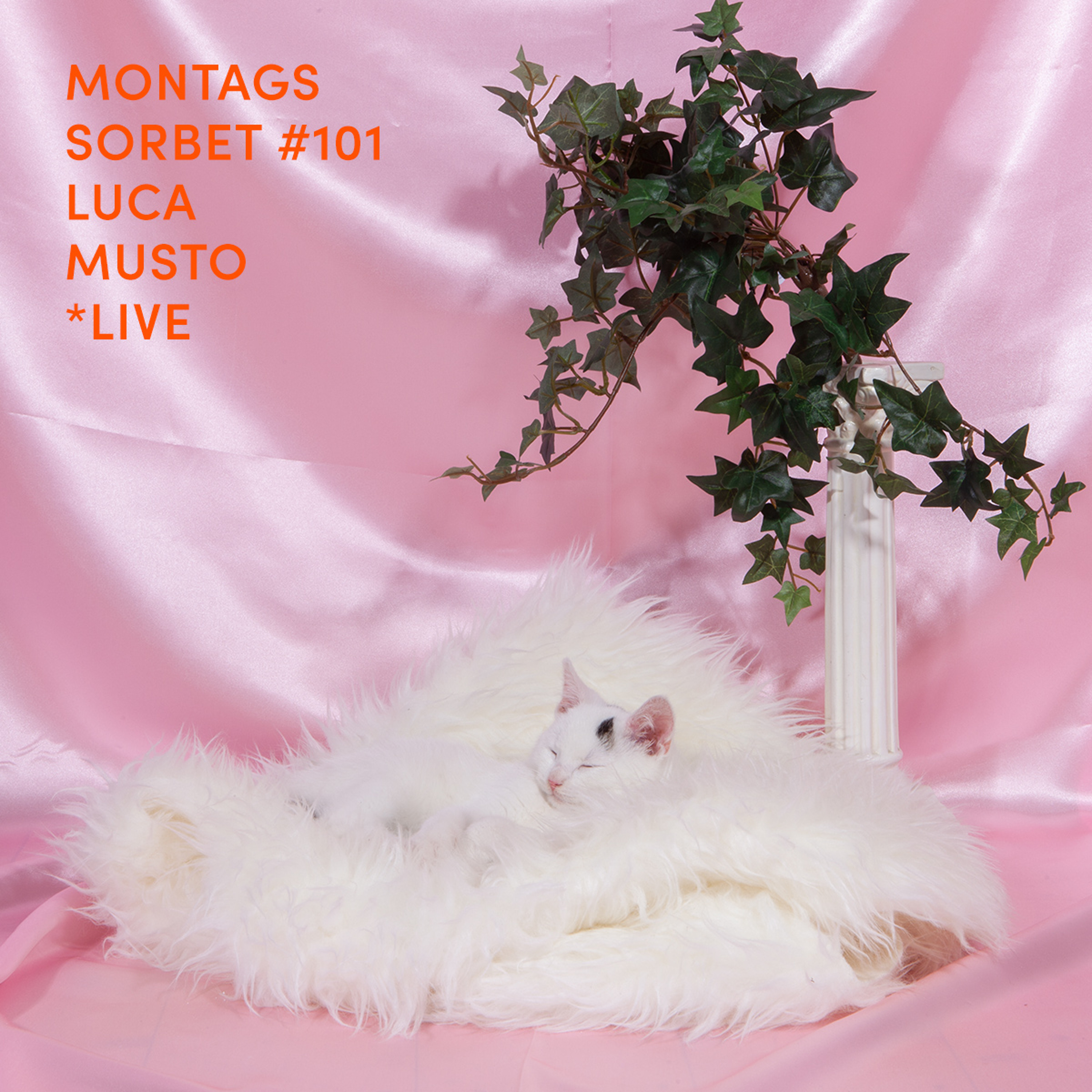 Montagssorbet mit Laut & Luise