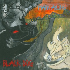 Black Dog