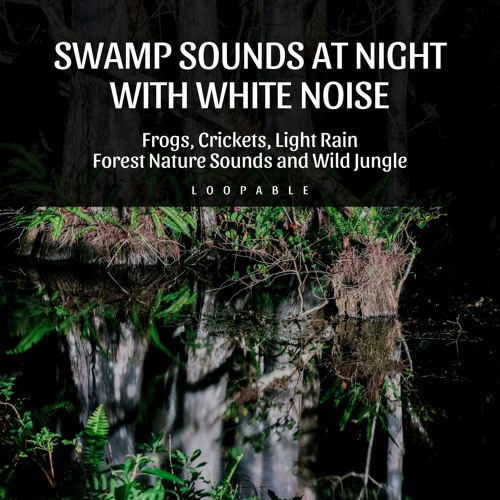White Noise - Raindrops and Crickets in the Country, Loopable