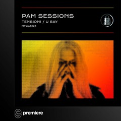 Premiere: Pam Sessions - Tension! - My Technno Weighs A Ton