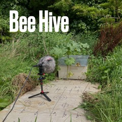 Bees entering and exiting a hive