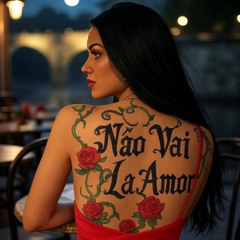 Não Vai Lá Amor (Portuguese)