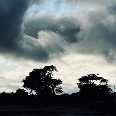 Night In Tokyo extract