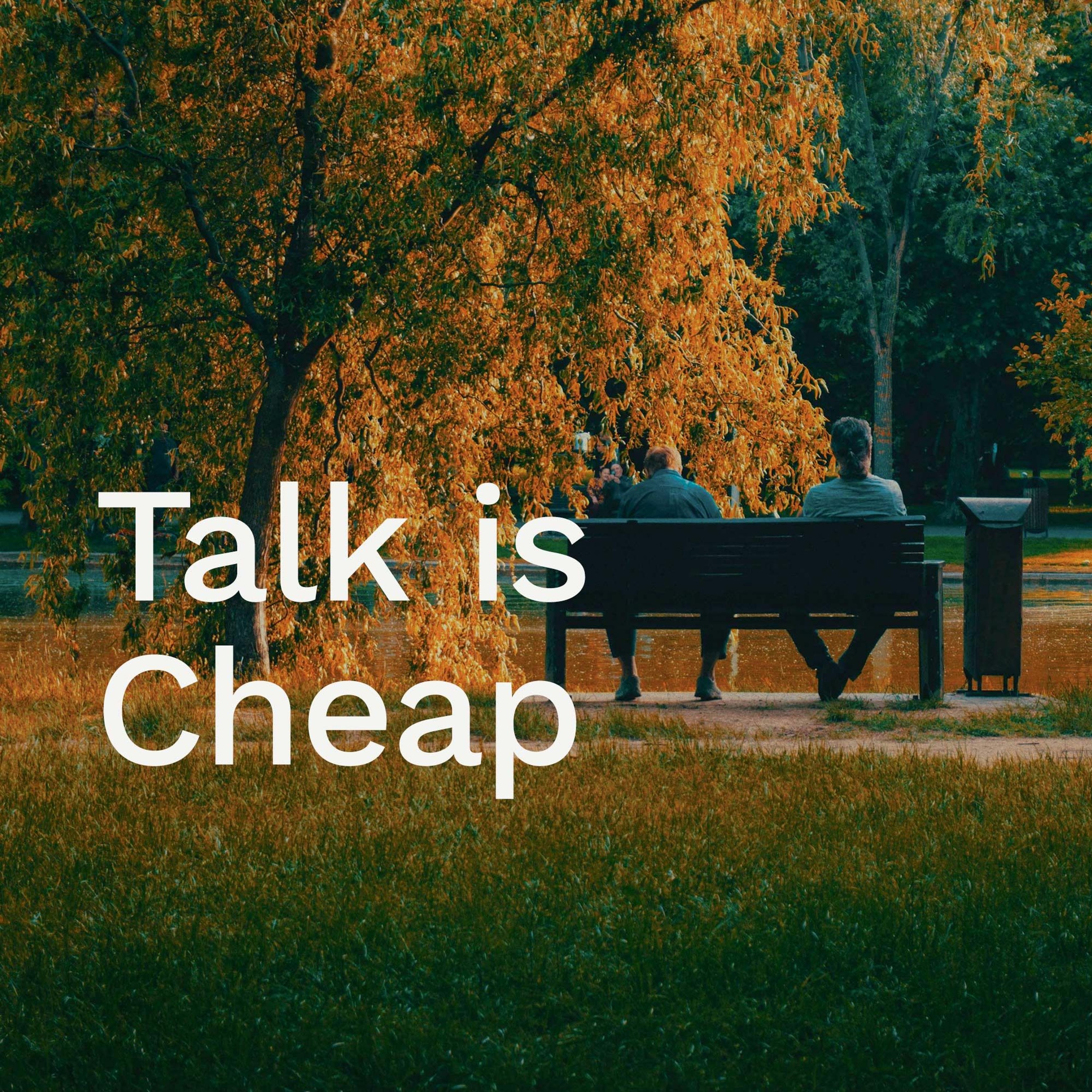 ’Talk is Cheap’ / David McBride