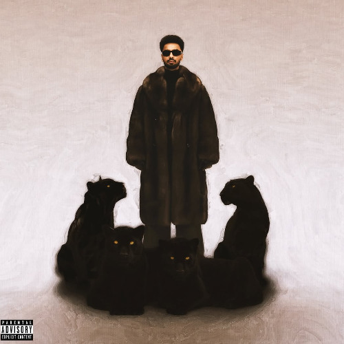 Dapper Dan - Navaan Sandhu