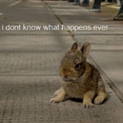 true love - team mekano (slowed)