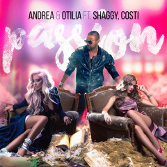 Passion (feat. Shaggy & Costi)